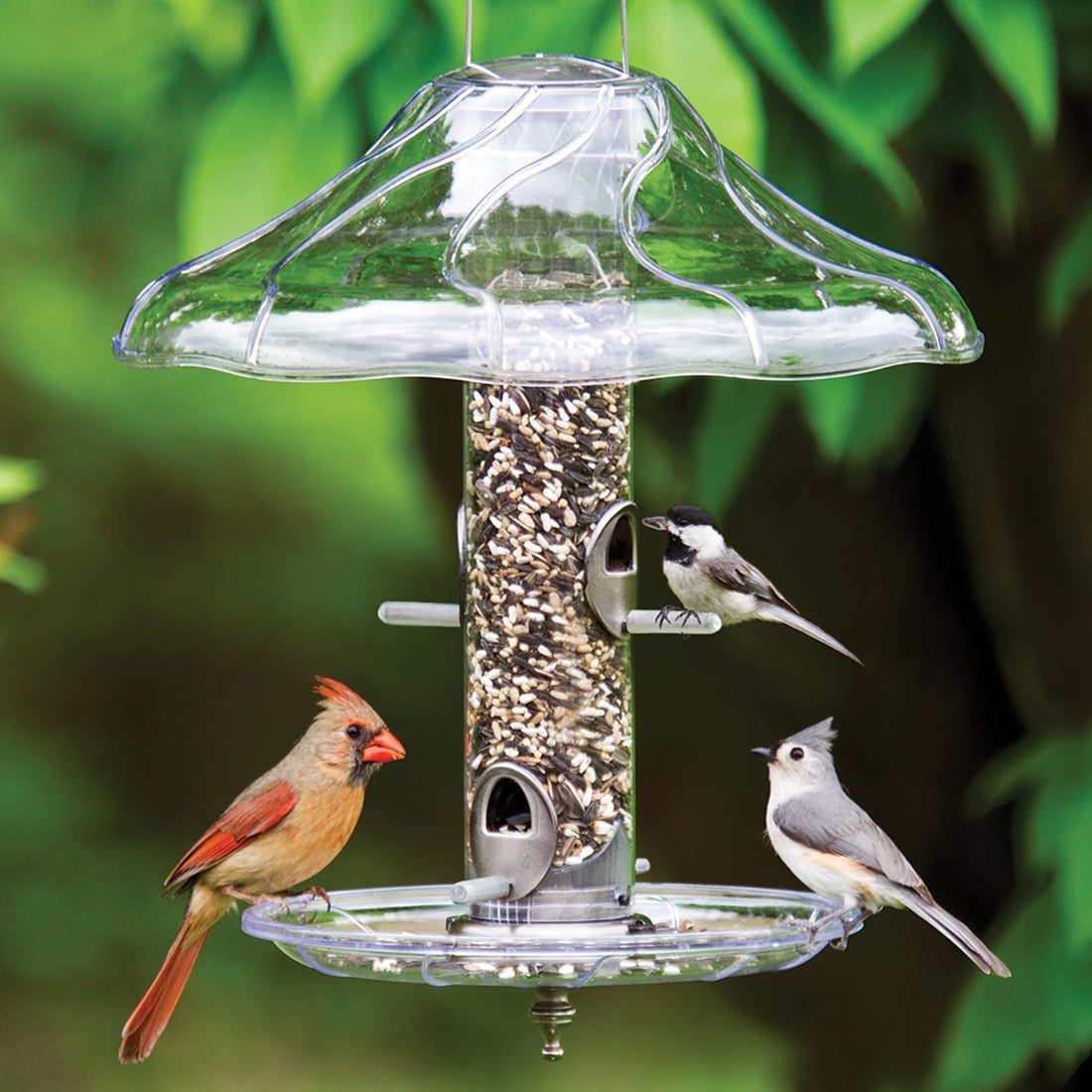 Brushed Nickel Tube Bird Feeder Set