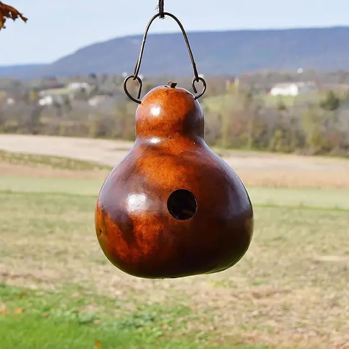 Cabin Gourd Birdhouse