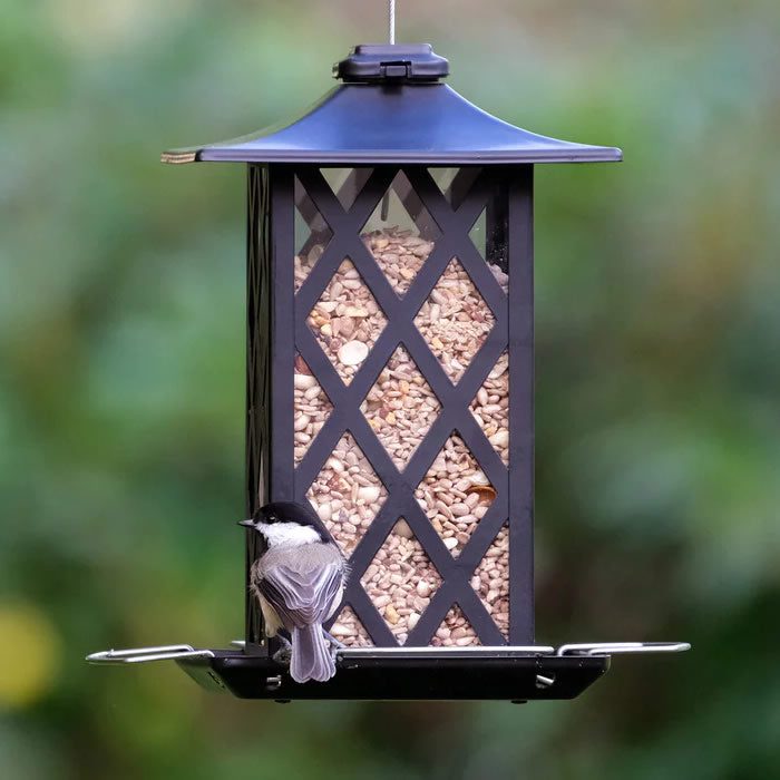Contemporary Lantern Metal Gazebo Bird Feeder