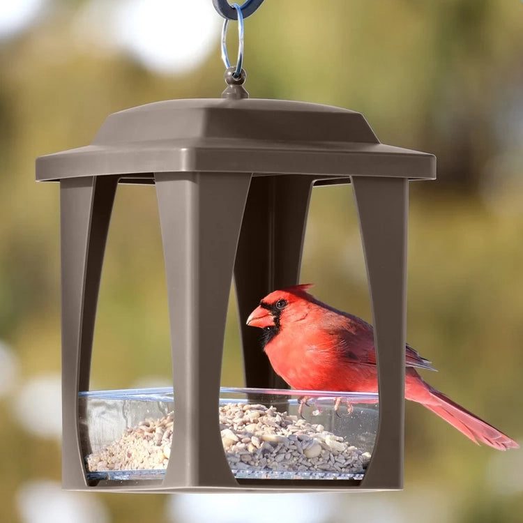 Dine-in Hanging Plastic Fly Through Bird Feeder