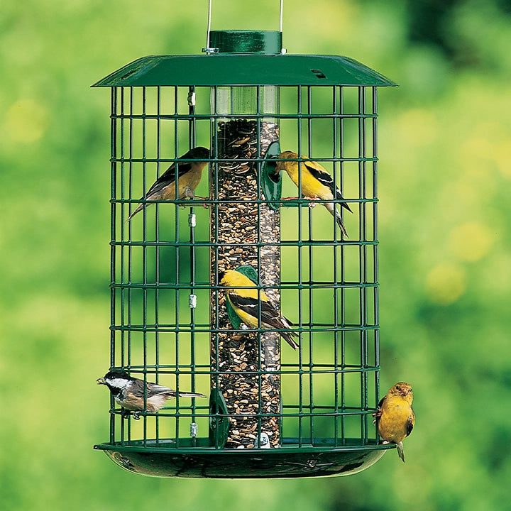 Metal Selective Bird Feeder
