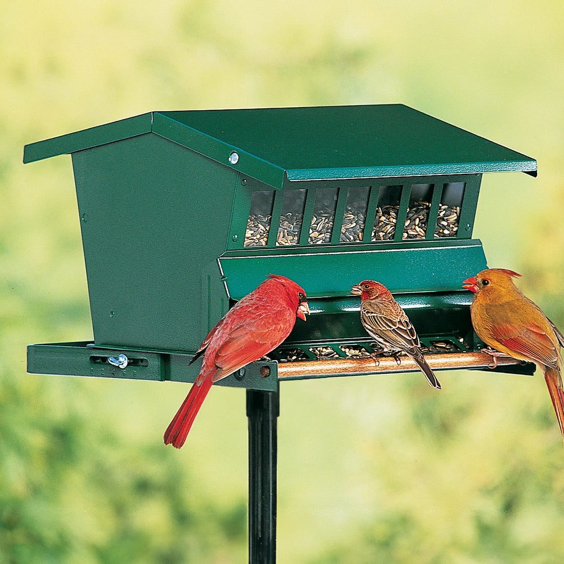 Original Weight-Activated Hopper Feeder