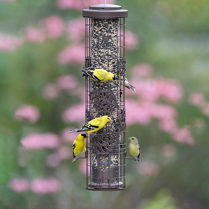 Pinecone Squirrel-Resistant Feeder