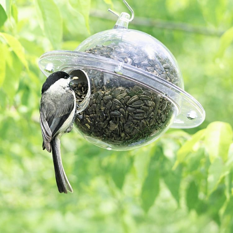 Satellite Bird Feeder