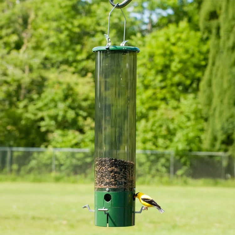 Spring-Perch Squirrel-Resistant Tube Feeder