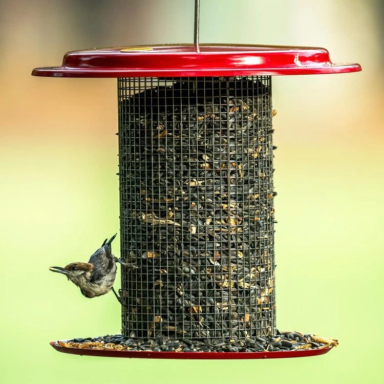Sunflower Seed Bird Feeder, Red