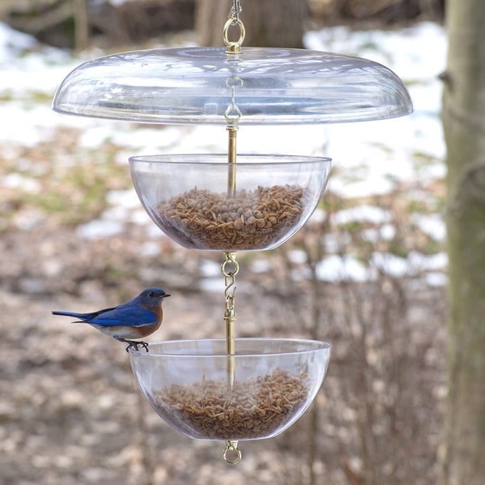 Tilt-Top Bluebird Paradise Feeder