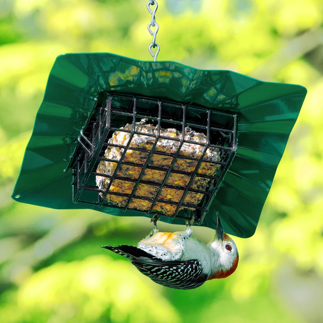 Upside Down Disk Suet Bird Feeder, Green