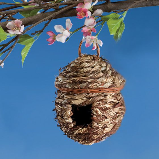 Acorn Hanging Roosting House
