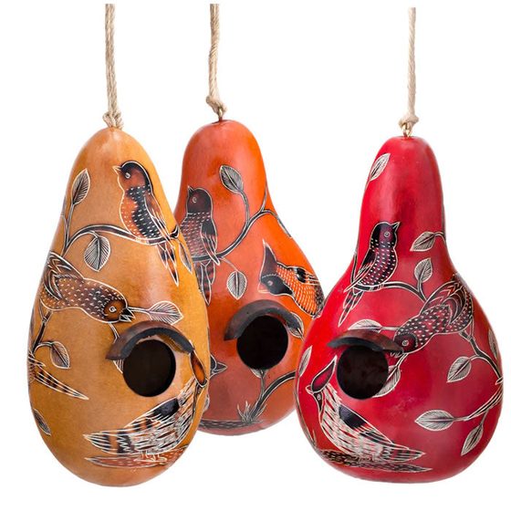 Birds of North America Gourd Birdhouse