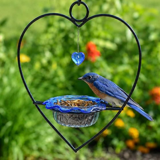 Bluebird Heart Feeder