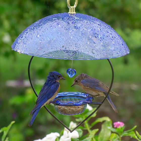 Bluebird Heart Feeder with Blue Dome