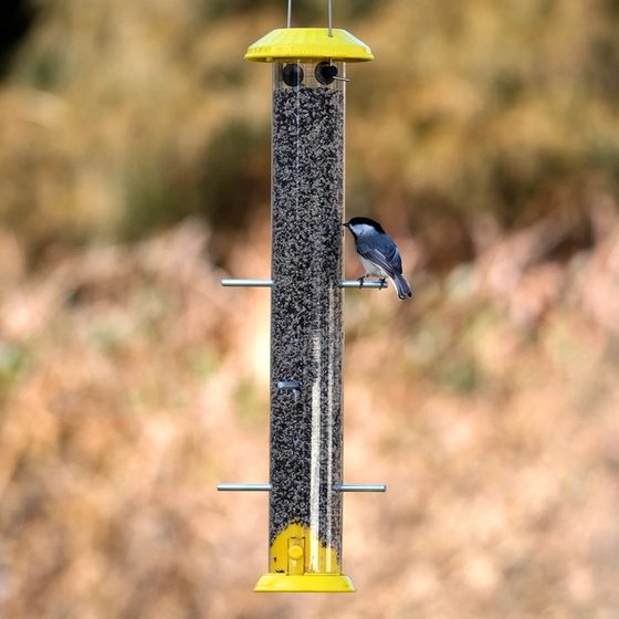 Bottoms Up Metal Thistle Finch Bird Feeder