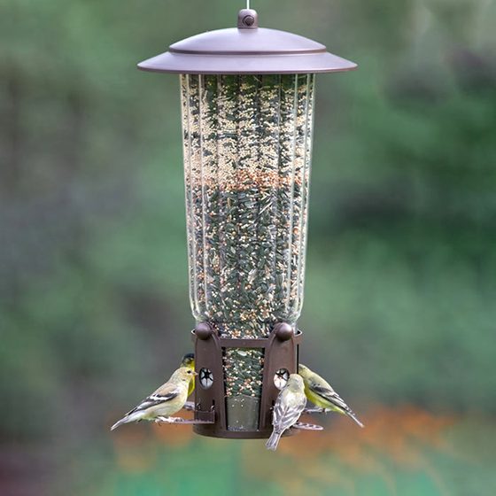 Caged Squirrel-Resistant Feeder, Max