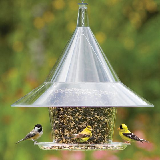 Cone-Roof Cafe Bird Feeder
