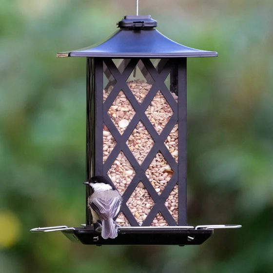 Contemporary Lantern Metal Gazebo Bird Feeder