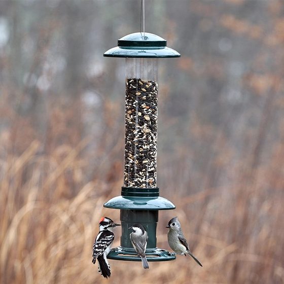 Four-Port Squirrel-Resistant Feeder