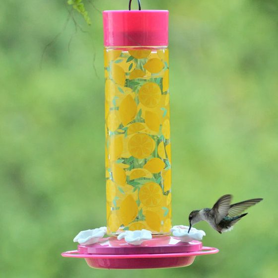 Lemon Grove Hummingbird Feeder