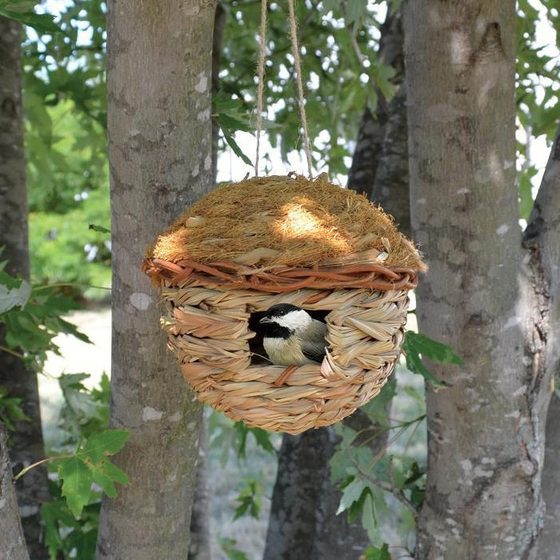 Round Hanging Grass Roosting Pocket