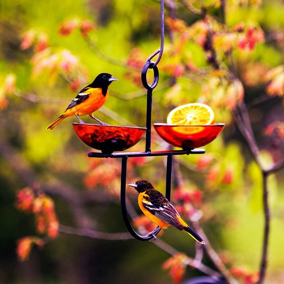Side by Side Poppy Bird Feeder, Orange