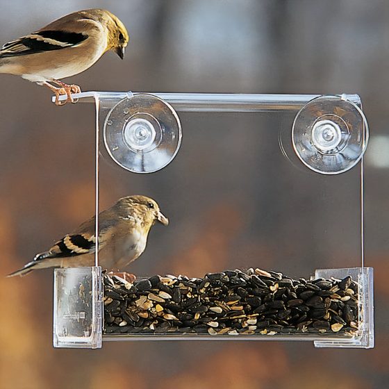 Songbird Buffet Window Bird Feeder