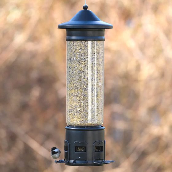 Squirrel Shield Pro Metal Bird Feeder